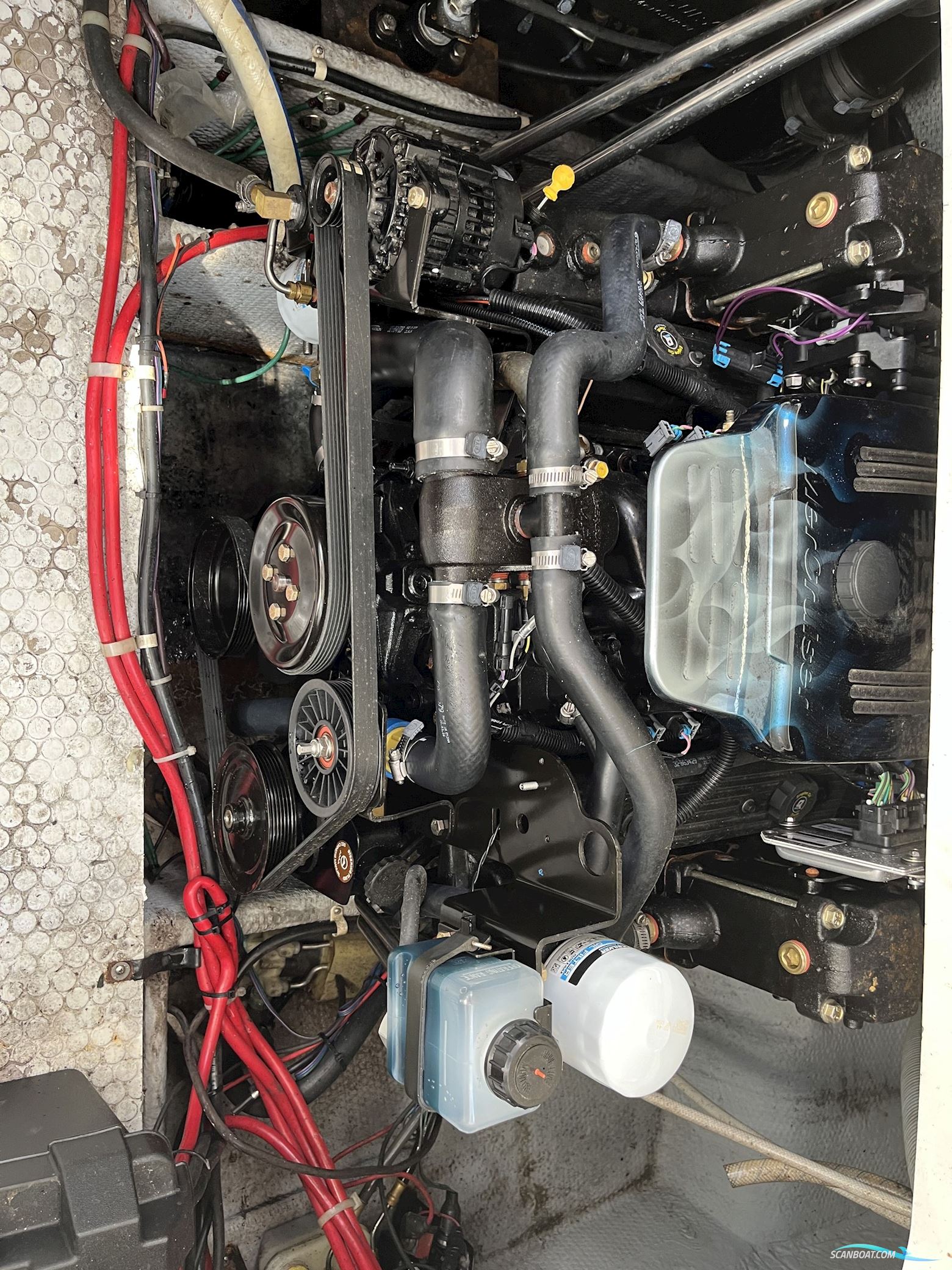 Silverton 31 - 1994 - Aalborg