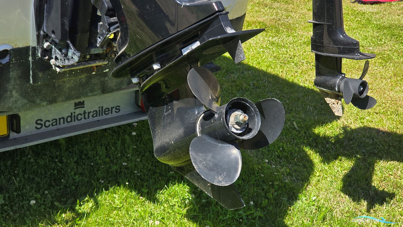 Smartliner Fisher 19