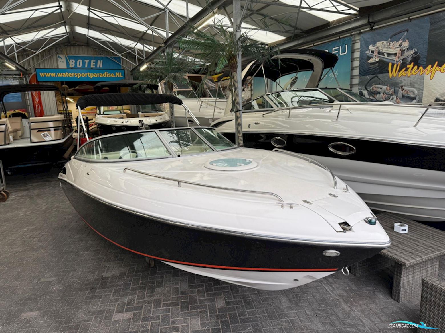 Starcraft 2150 Cuddy