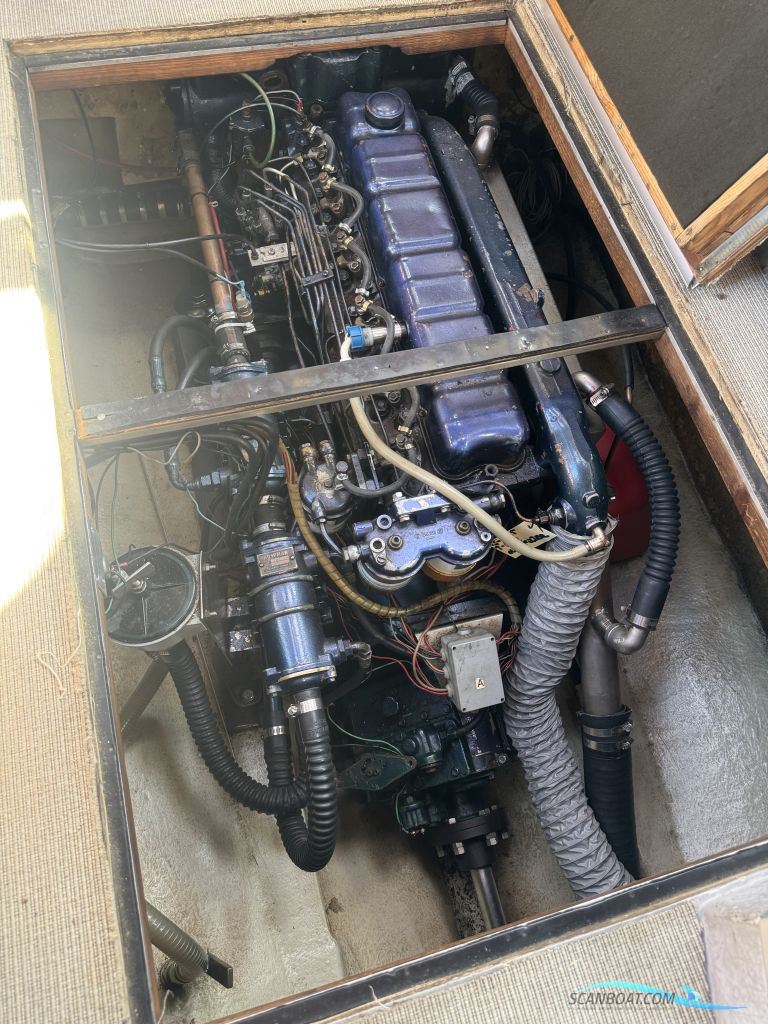 Starlett 34