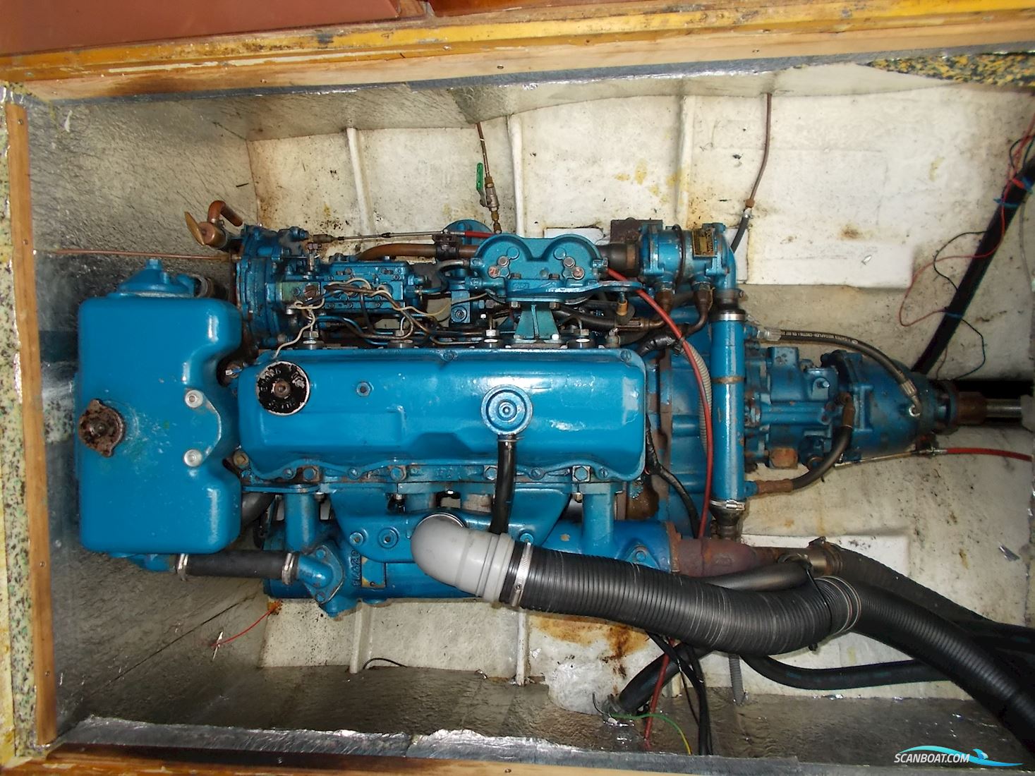 Starlett 34