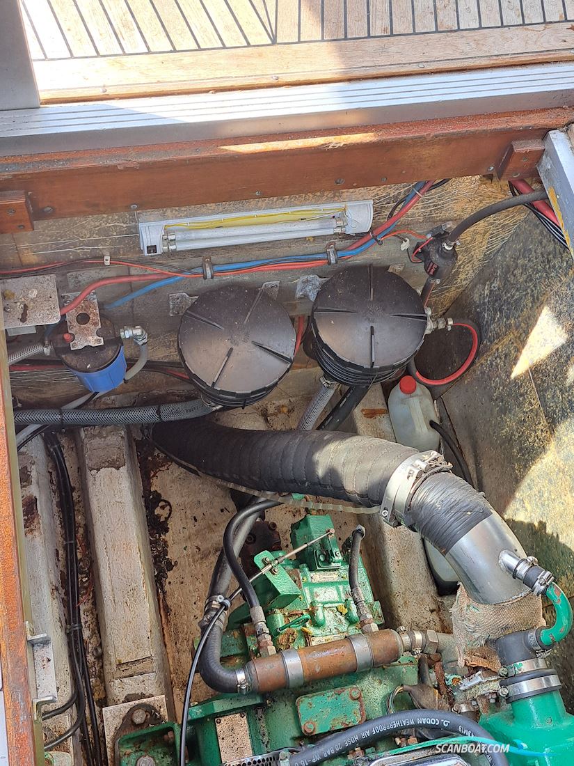 Storebro Royal Biscay 31