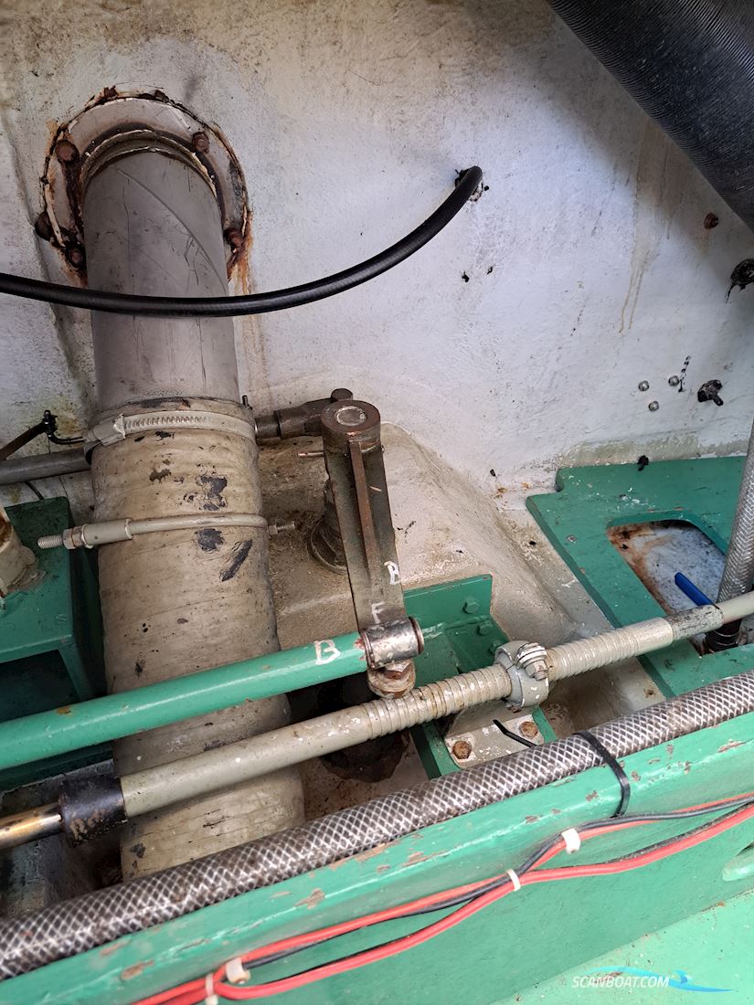 Storebro Royal Biscay 31