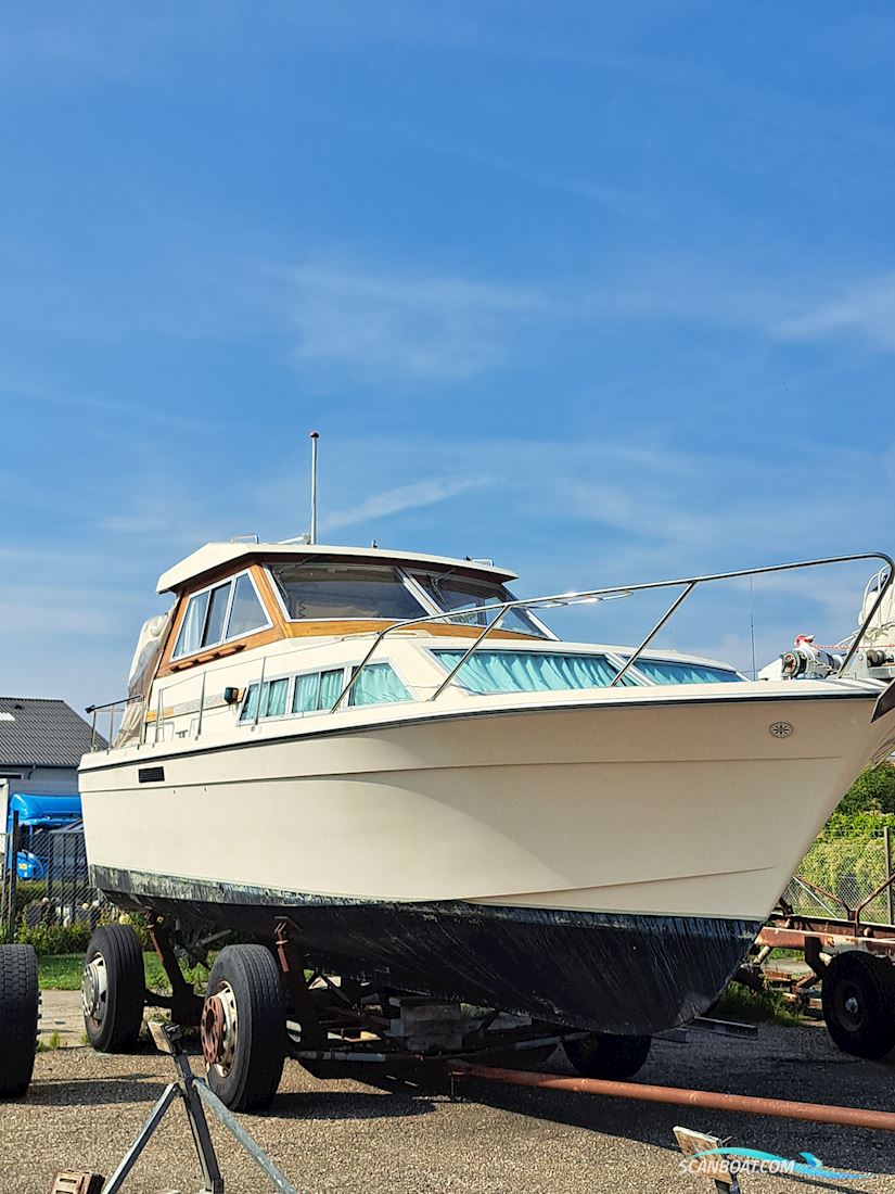 Storebro Royal Biscay 31