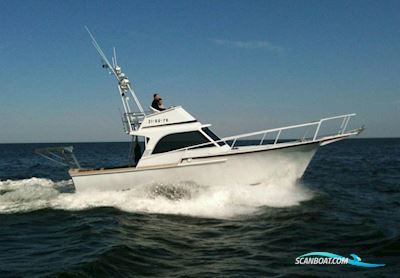 Striker Sport Fisher Motorboten 1967, met Perkins motor, The Netherlands