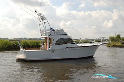 Striker Sport Fisher Motorboten 1967, met Perkins motor, The Netherlands