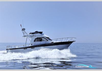 Teaser 31 Sport Motorboten 1994, met Volvo Penta motor, Portugal