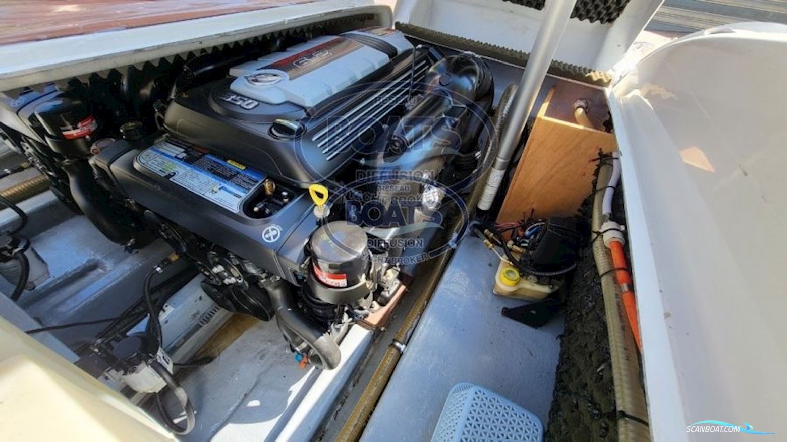 Tecnorib PIRELLI PZERO 1000