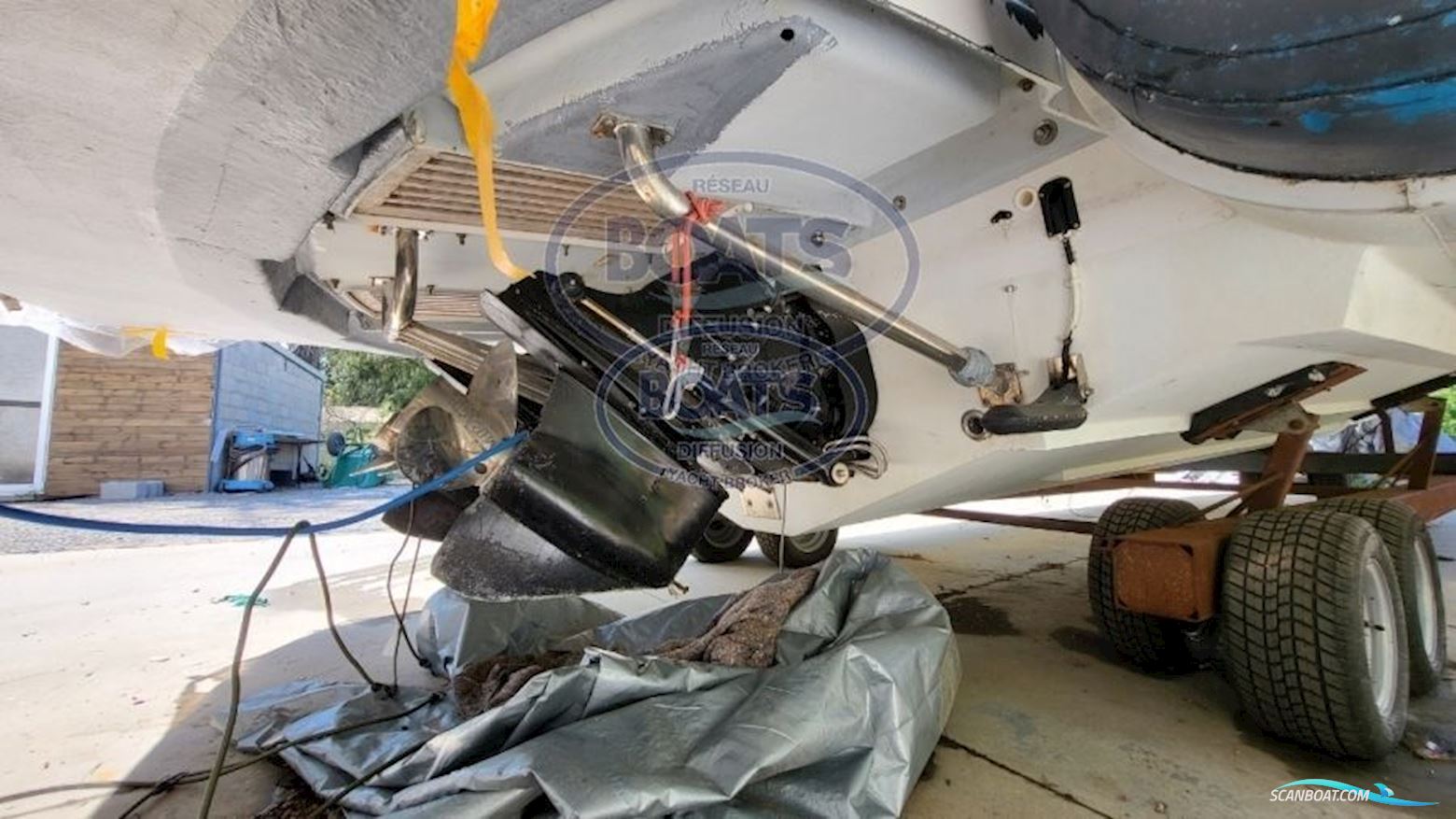 Tecnorib PIRELLI PZERO 1000