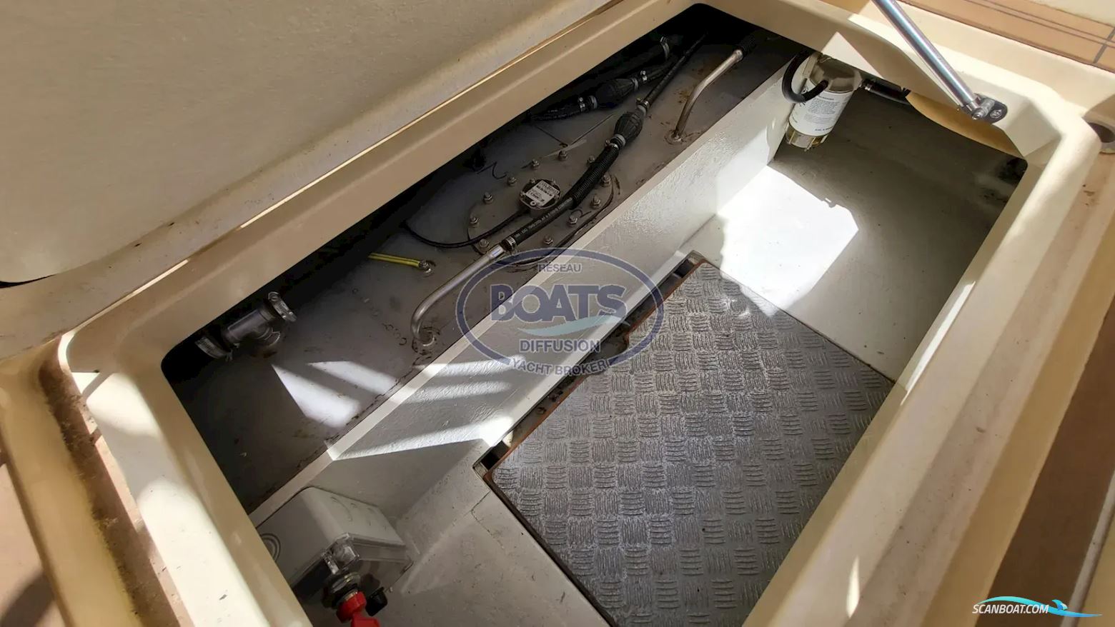 Terranauta Terra Nauta 30