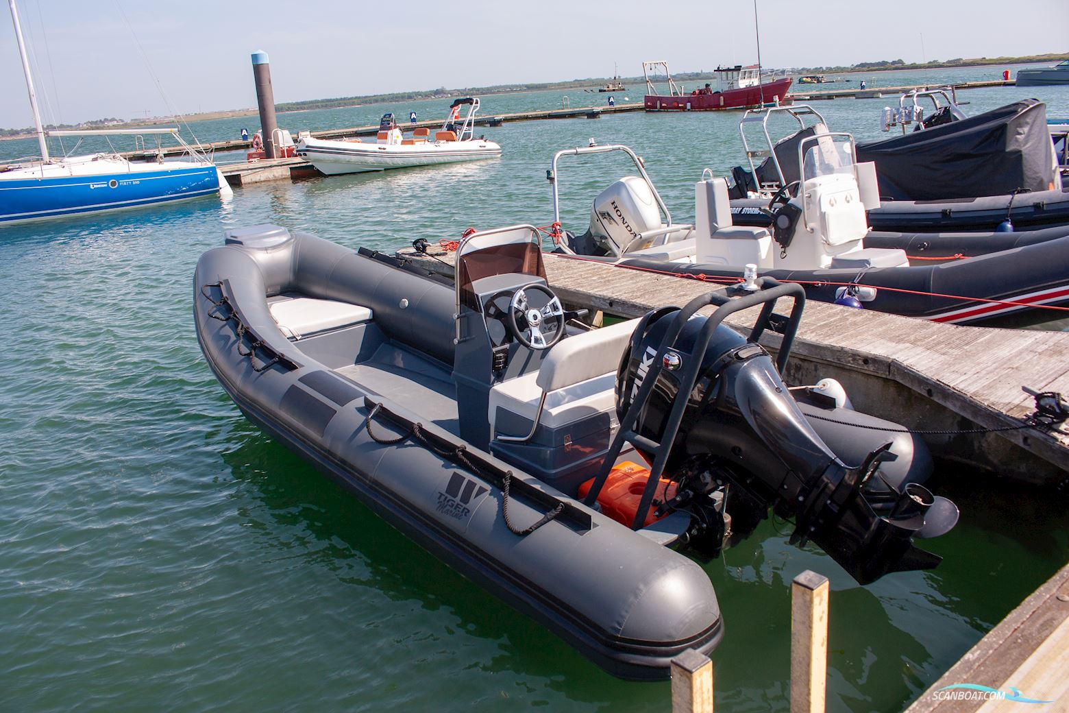 Tiger Marine Dive Master 520
