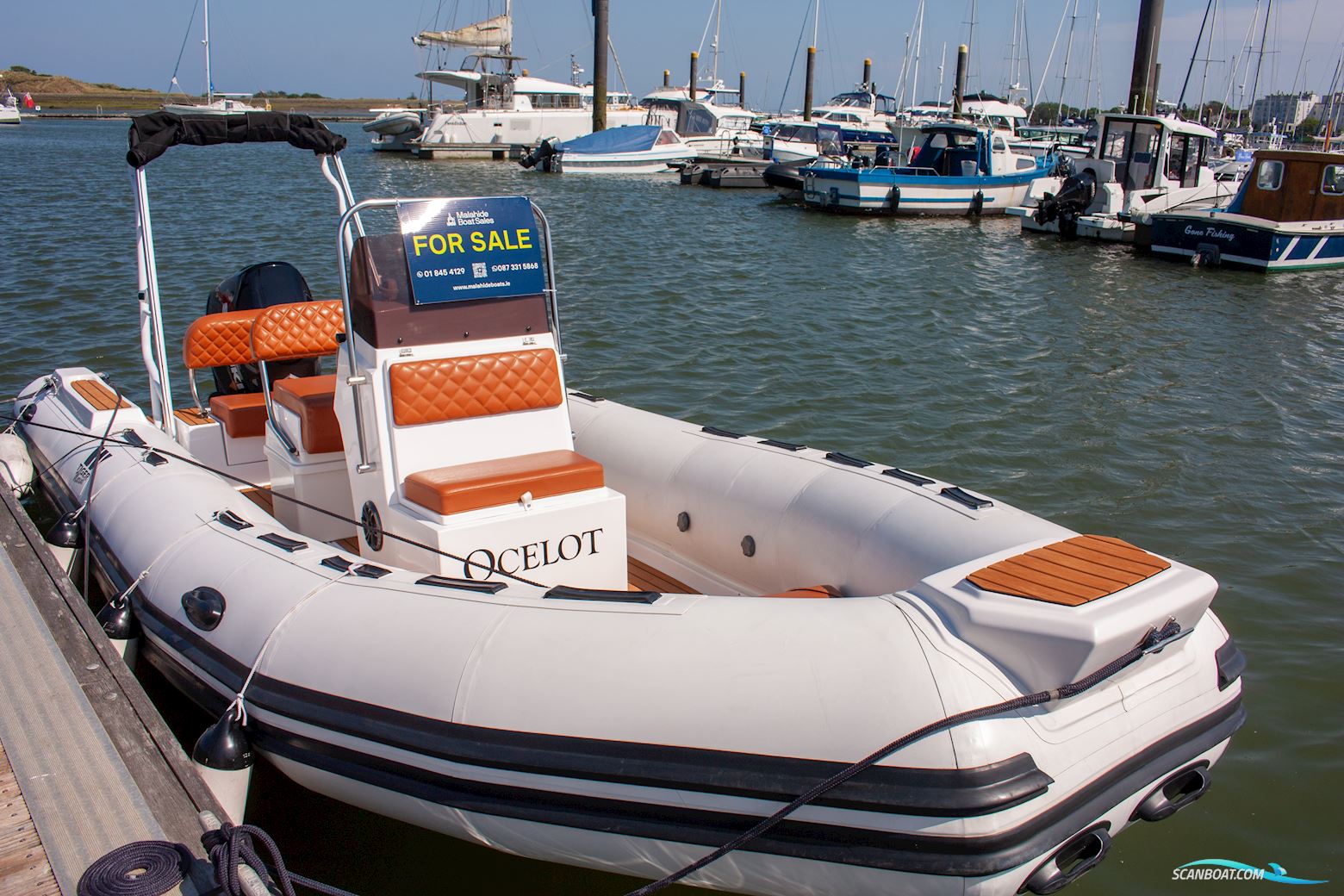 Tiger marine Open 600