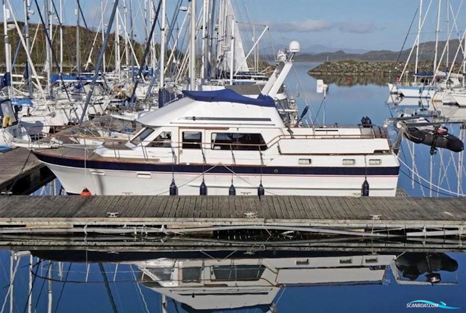 Trader 41