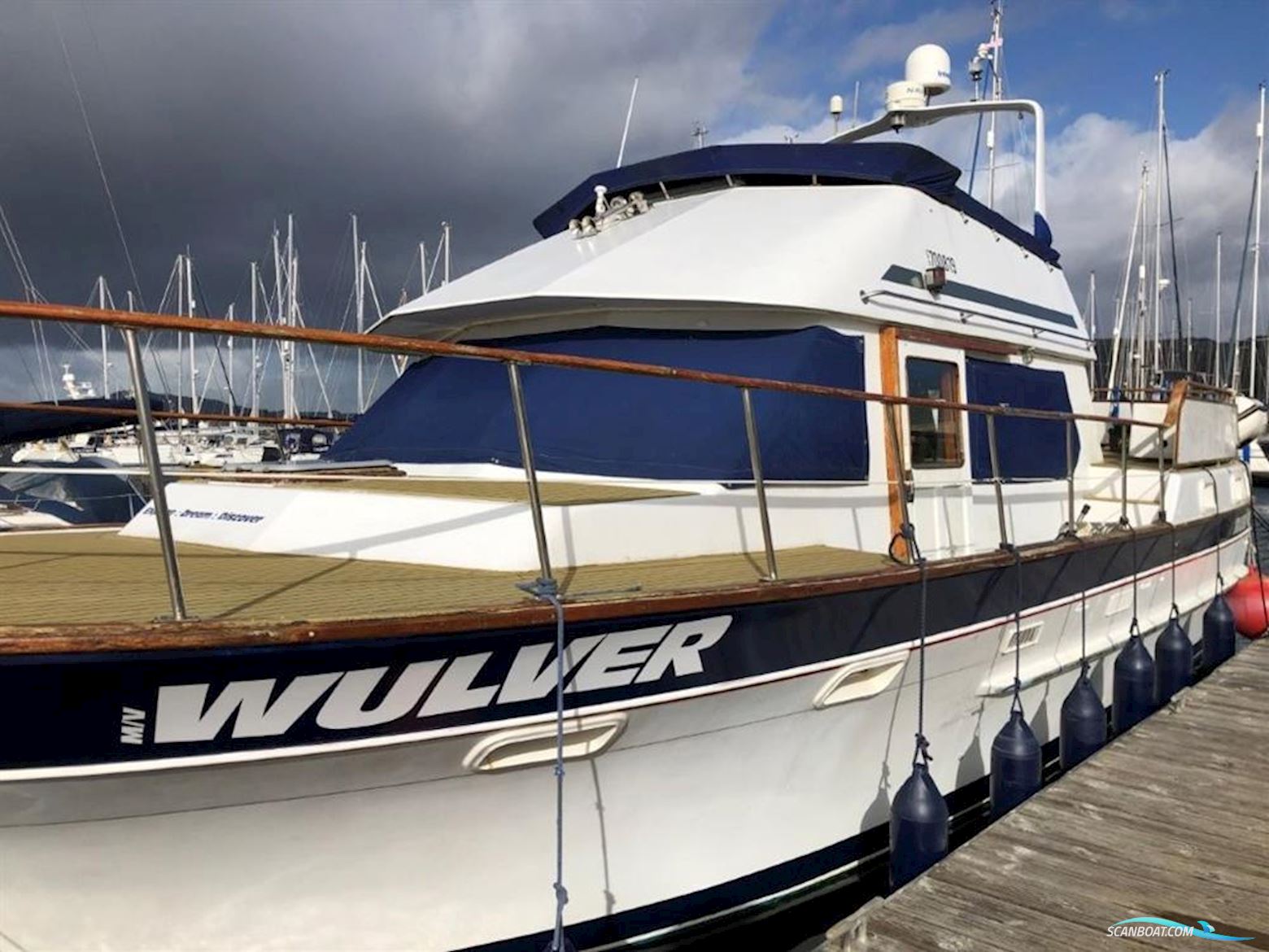 Trader 41