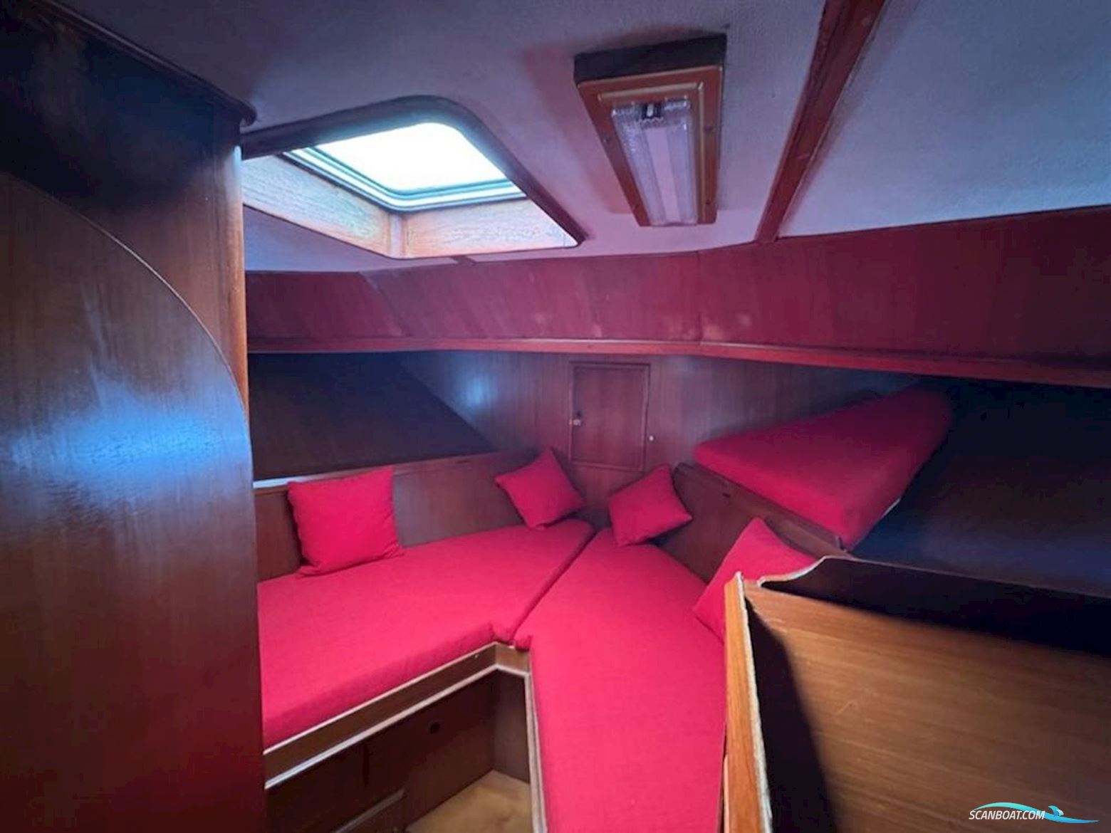 Trader 41