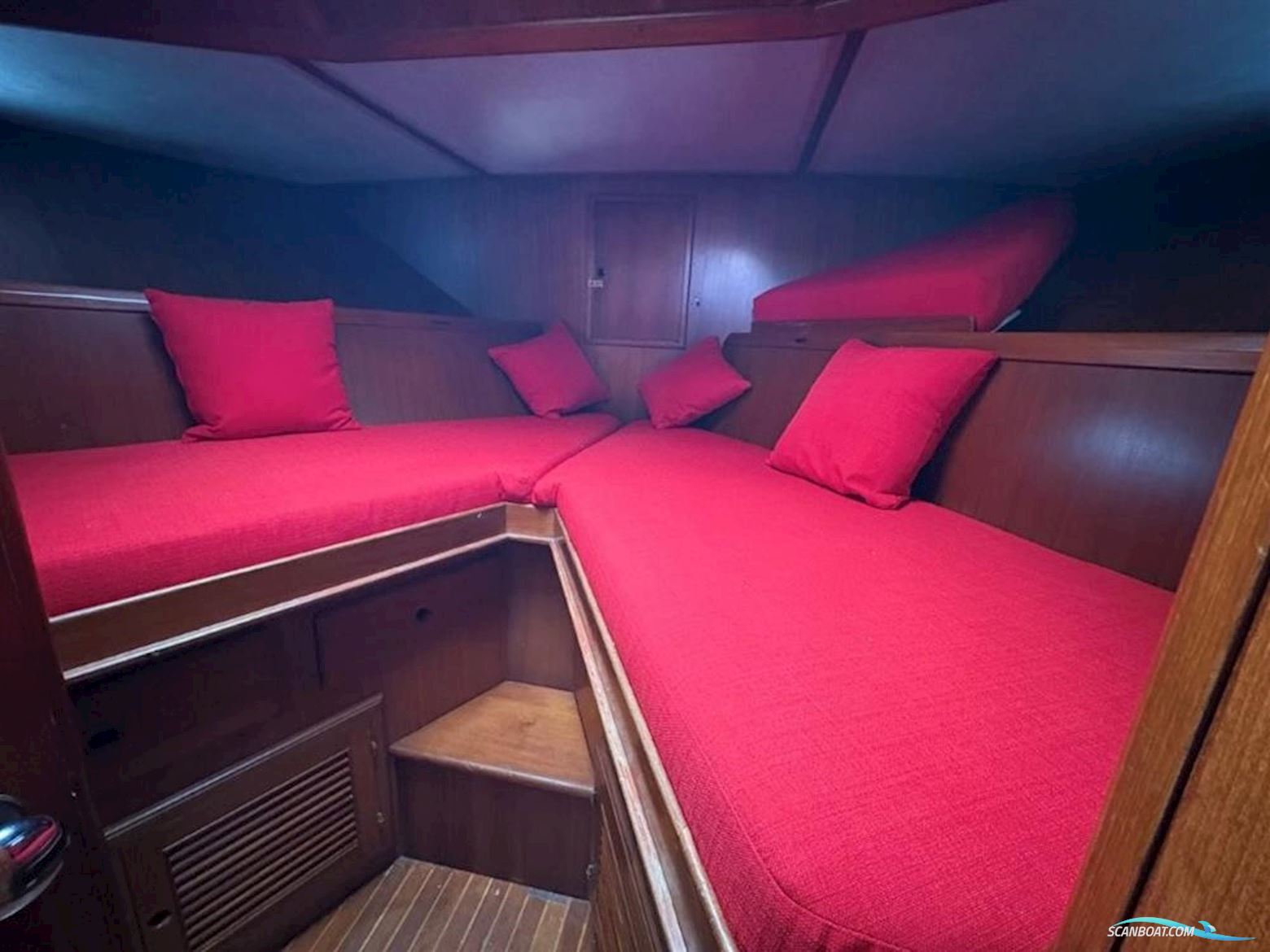 Trader 41