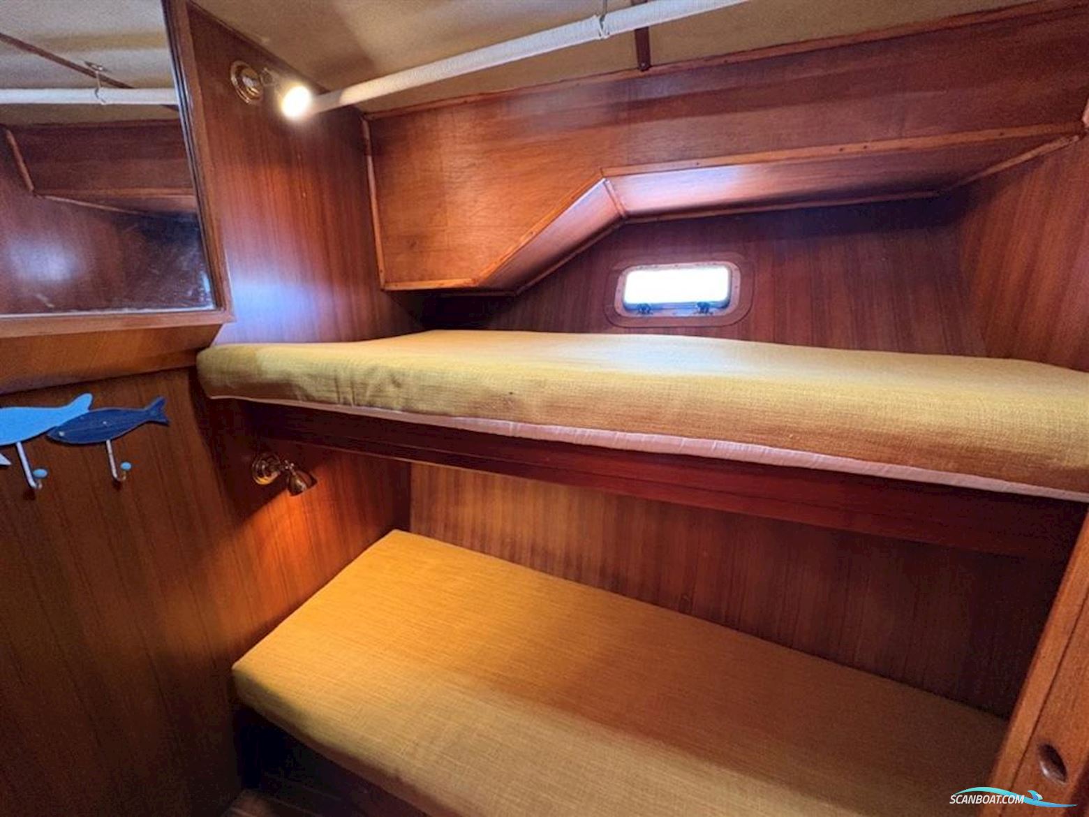 Trader 41