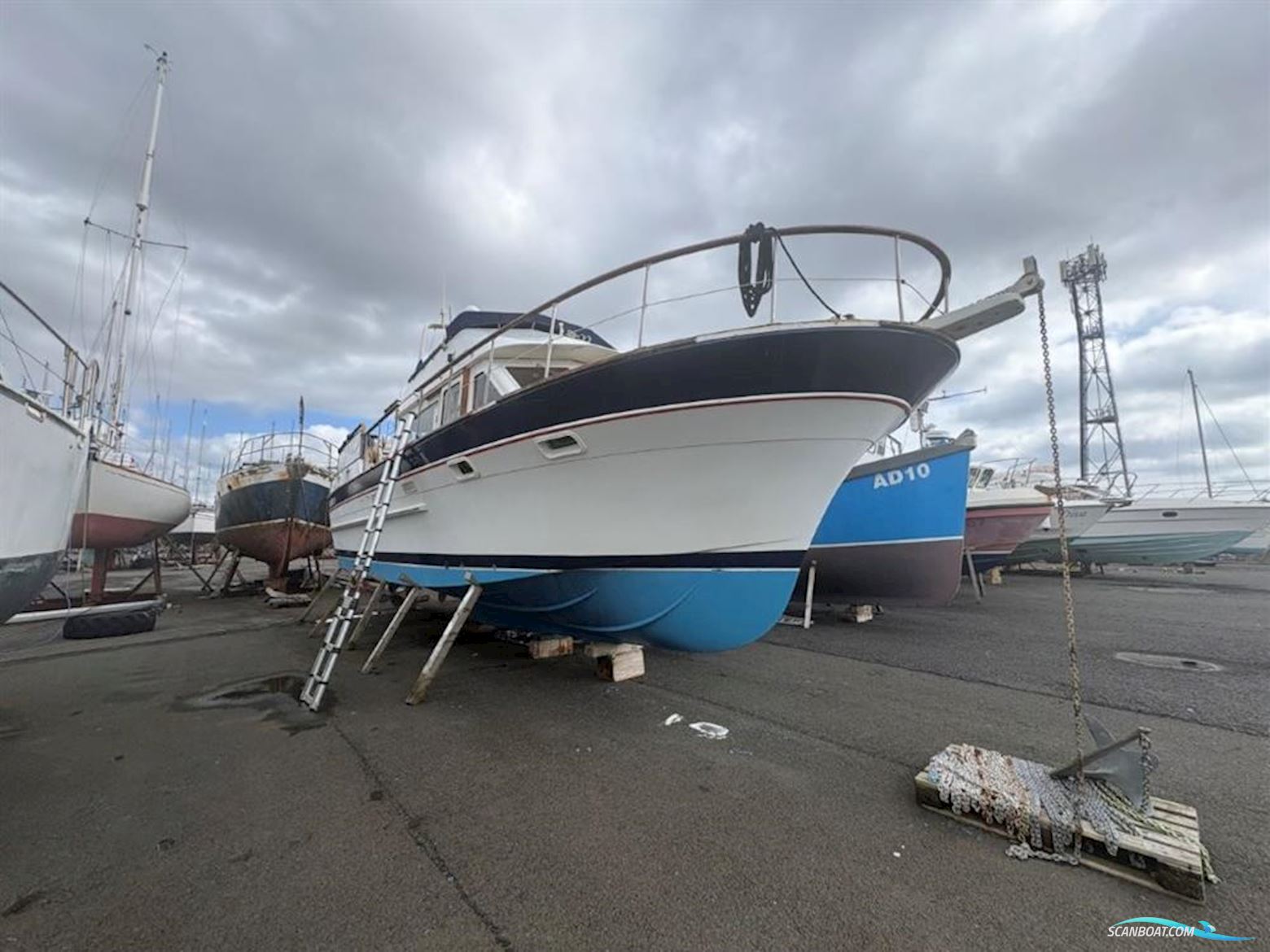 Trader 41