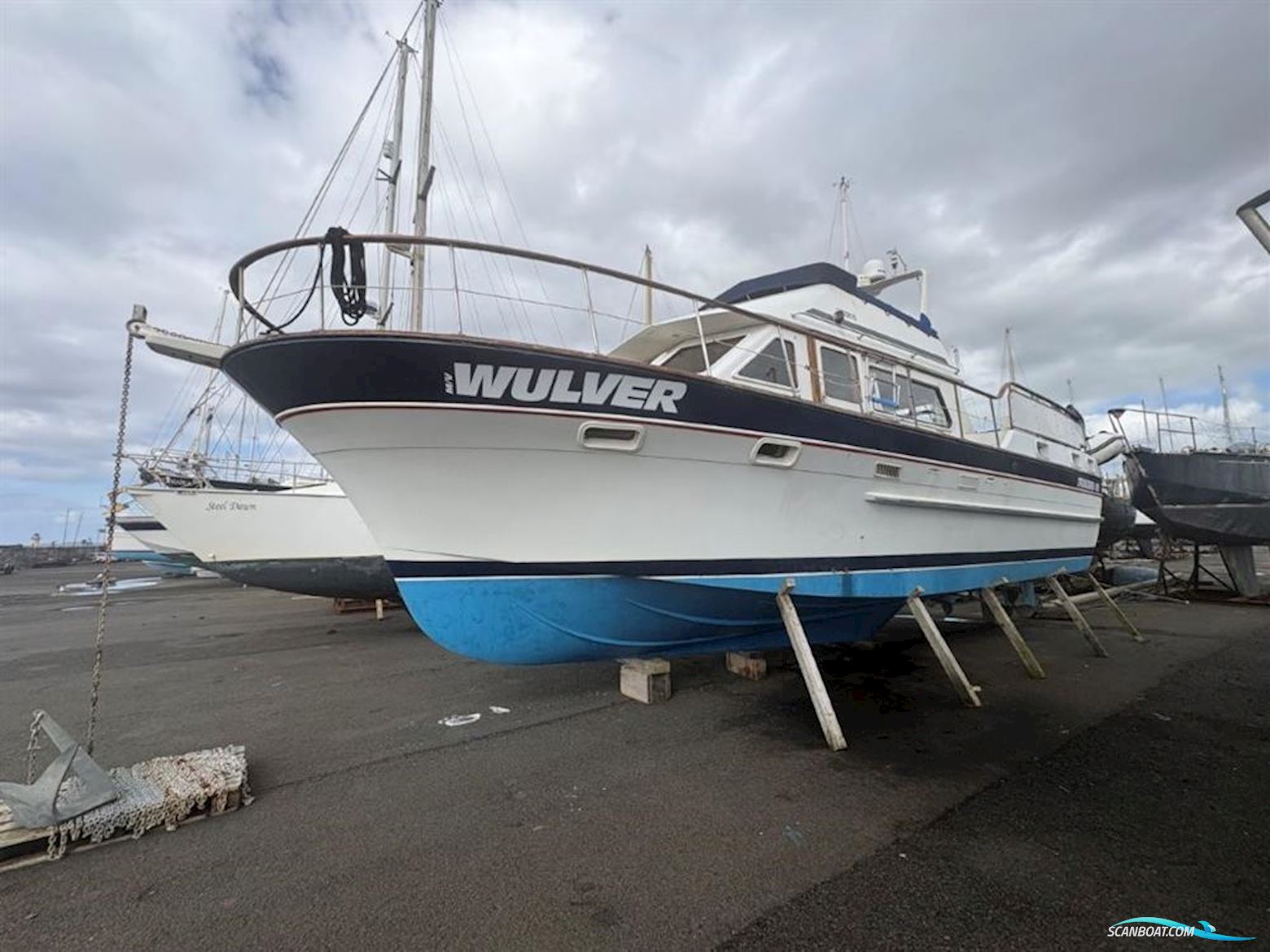 Trader 41