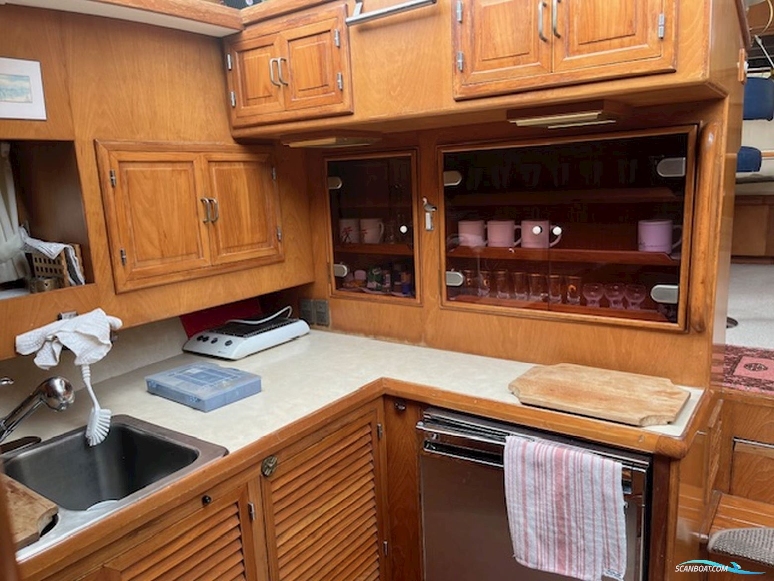 Tradewind 43 Sundeck