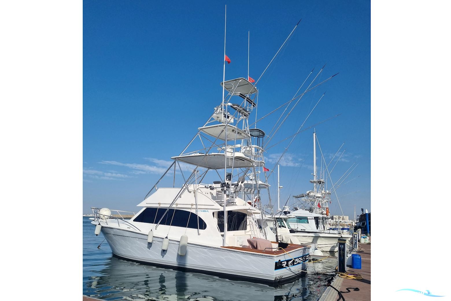 Unclassified 43 Sport Fisherman