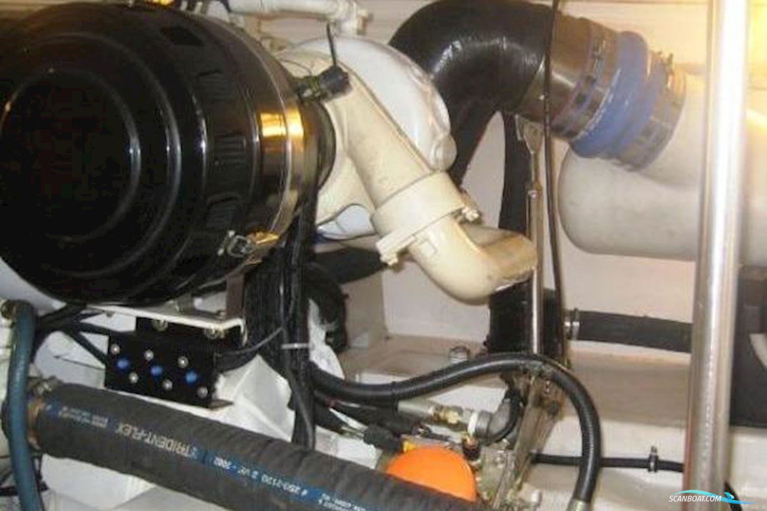 Unclassified 43 Sport Fisherman