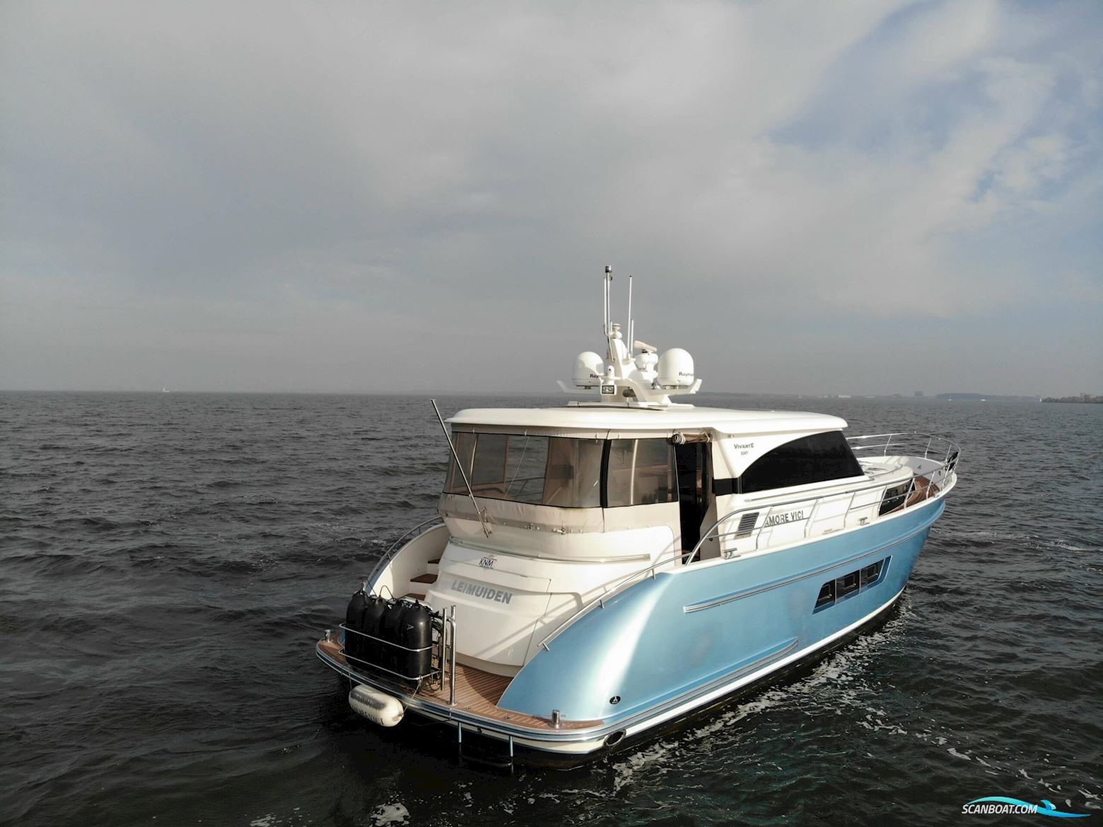 Vivante 55