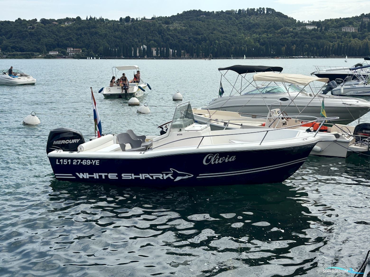White Shark 205 Motorboten 2001, met Mercury  motor, The Netherlands
