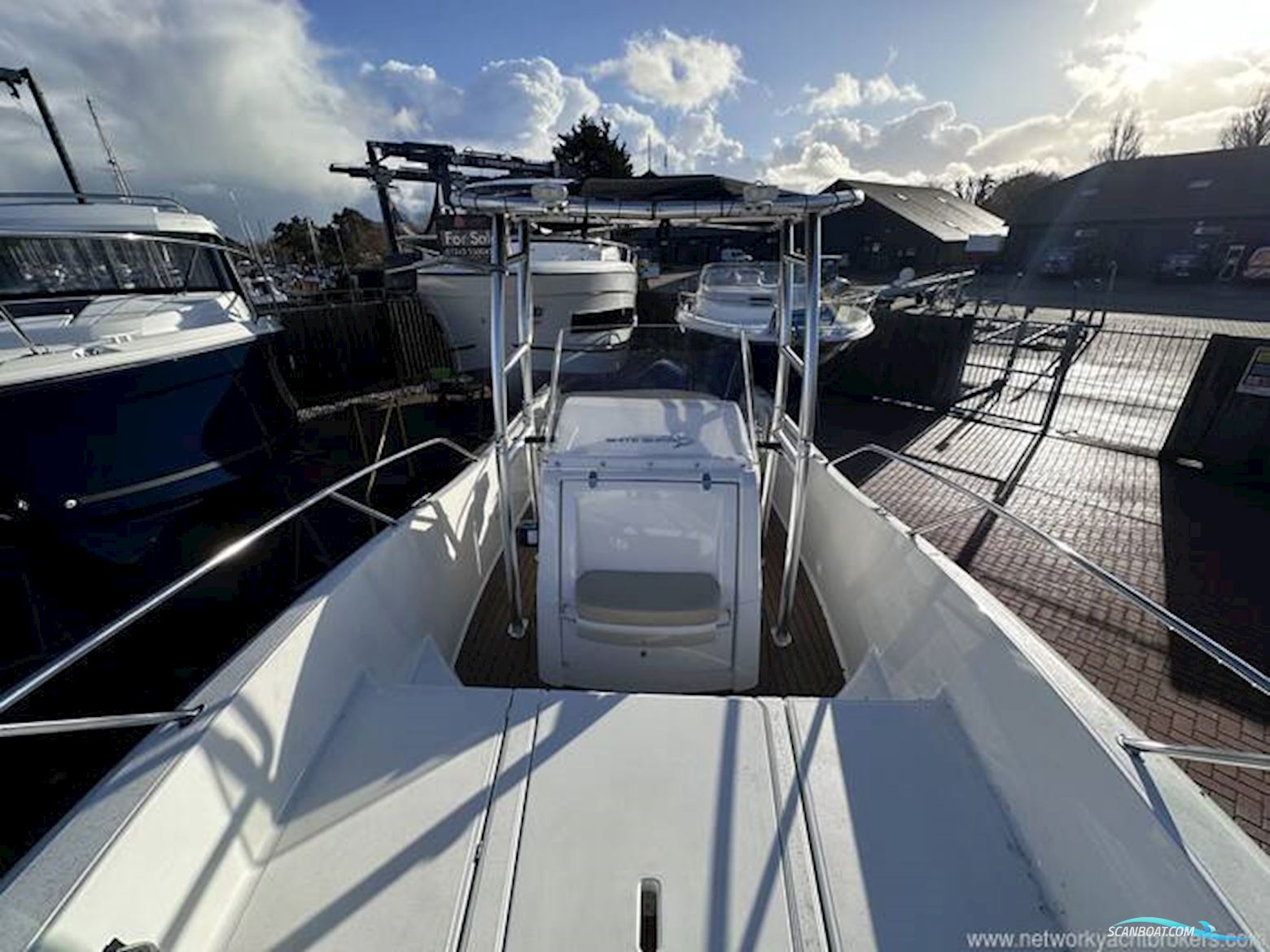 White Shark 226