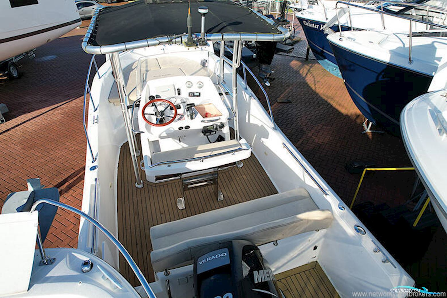 White Shark 226