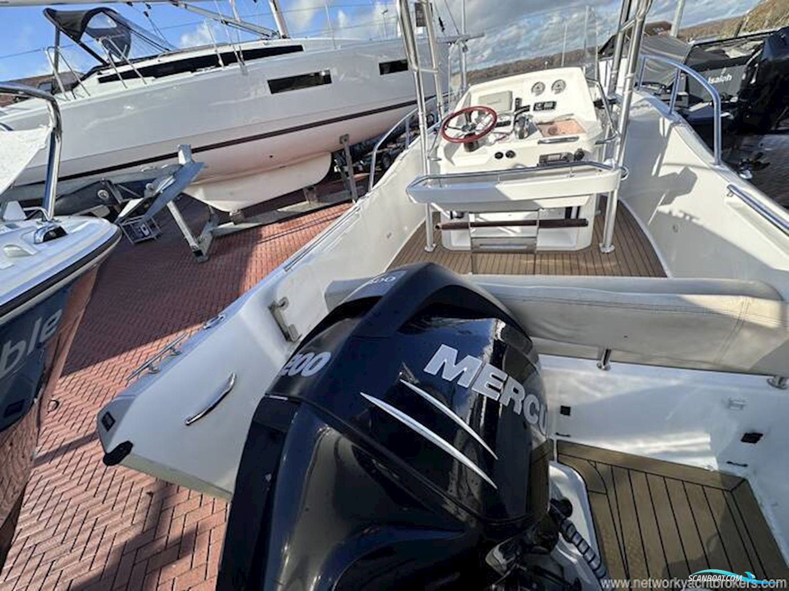 White Shark 226