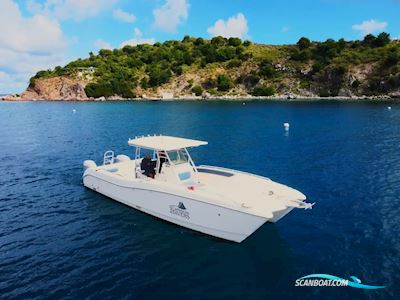 World Cat 330 Te Motorboten 2005, met Suzuki motor, Virgin Islands