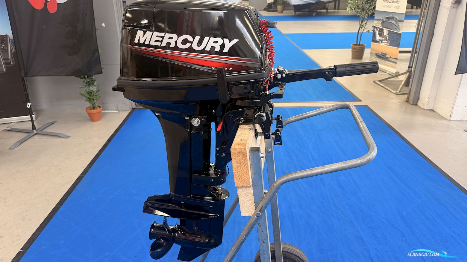 Mercury 