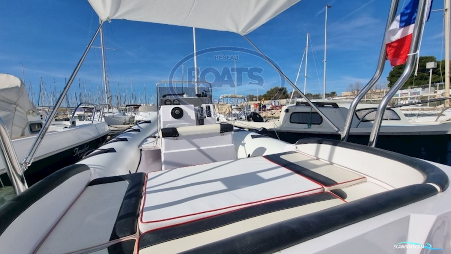 Selva Marine Selva D650 Family Special