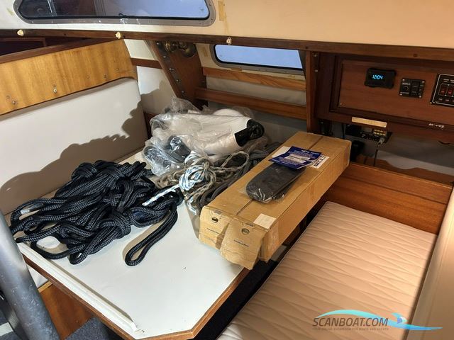 Albin MS 82