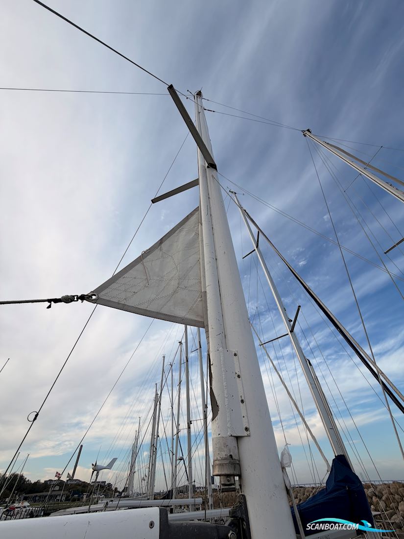 Brofjord 36