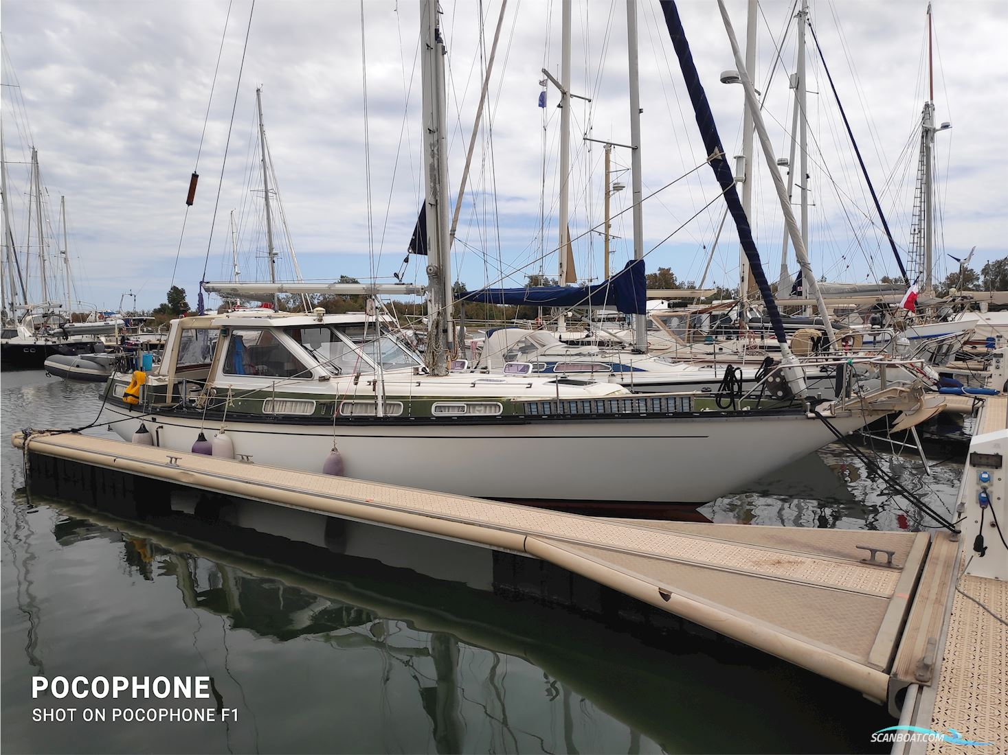 Coronet Elvström MS 38