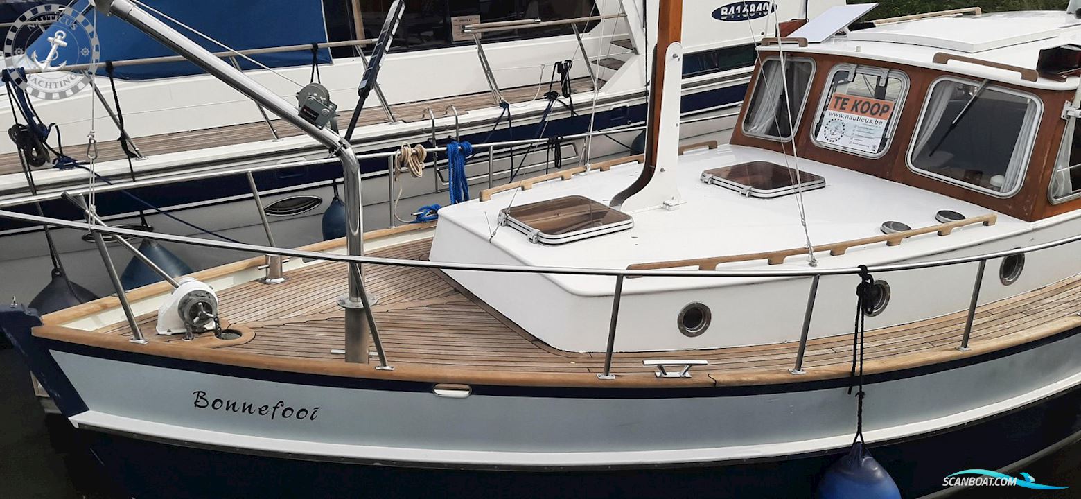 Danish Rose 32