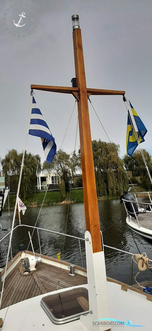 Danish Rose 32