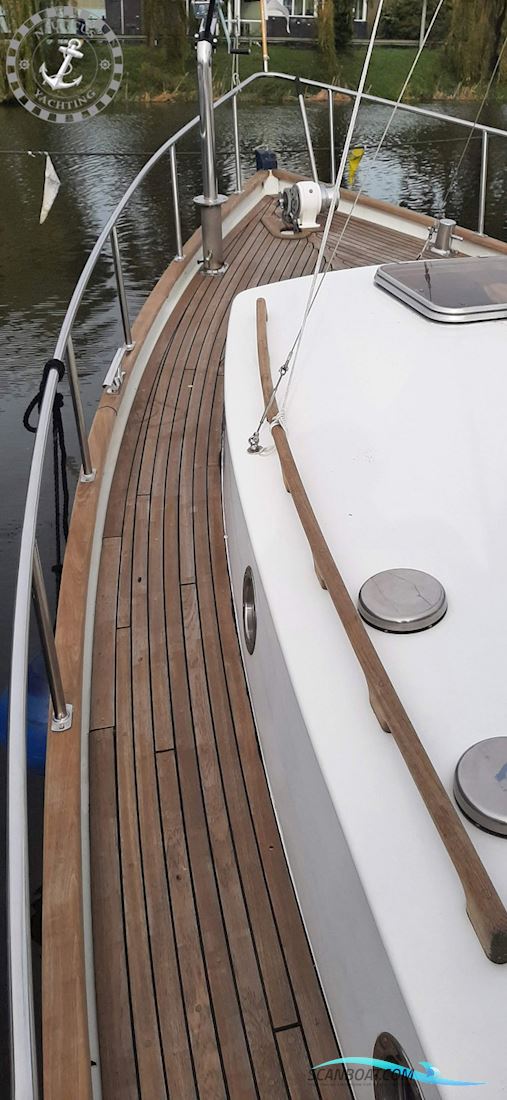 Danish Rose 32