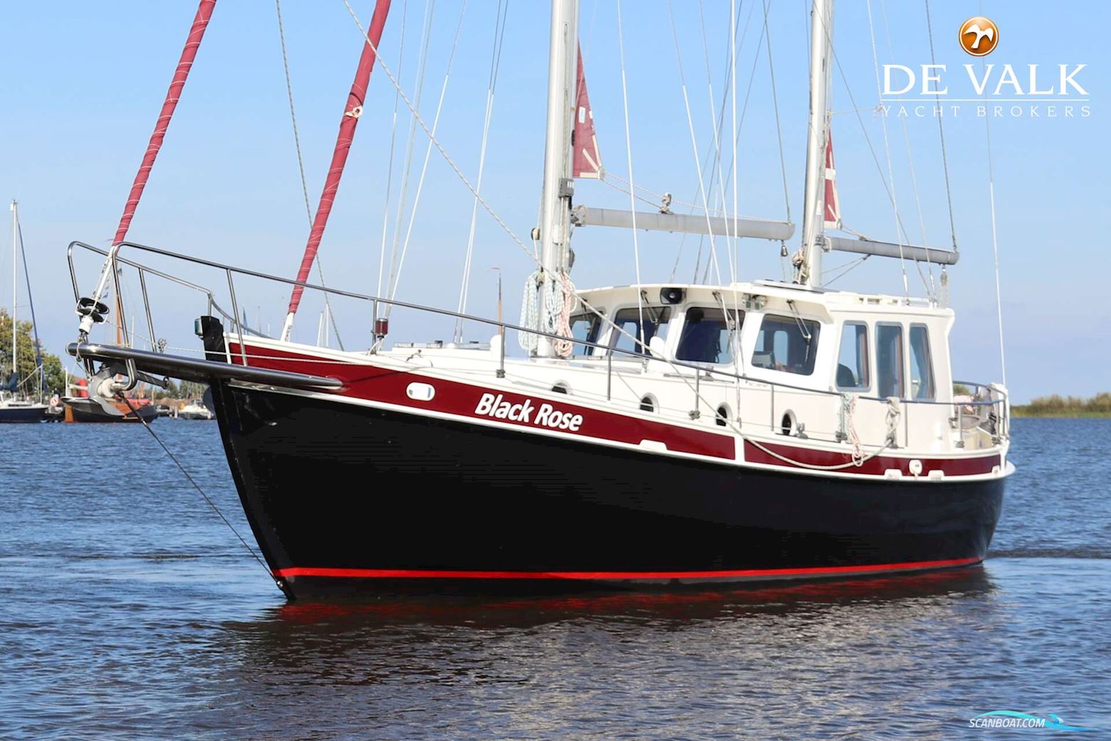Danish Rose 37