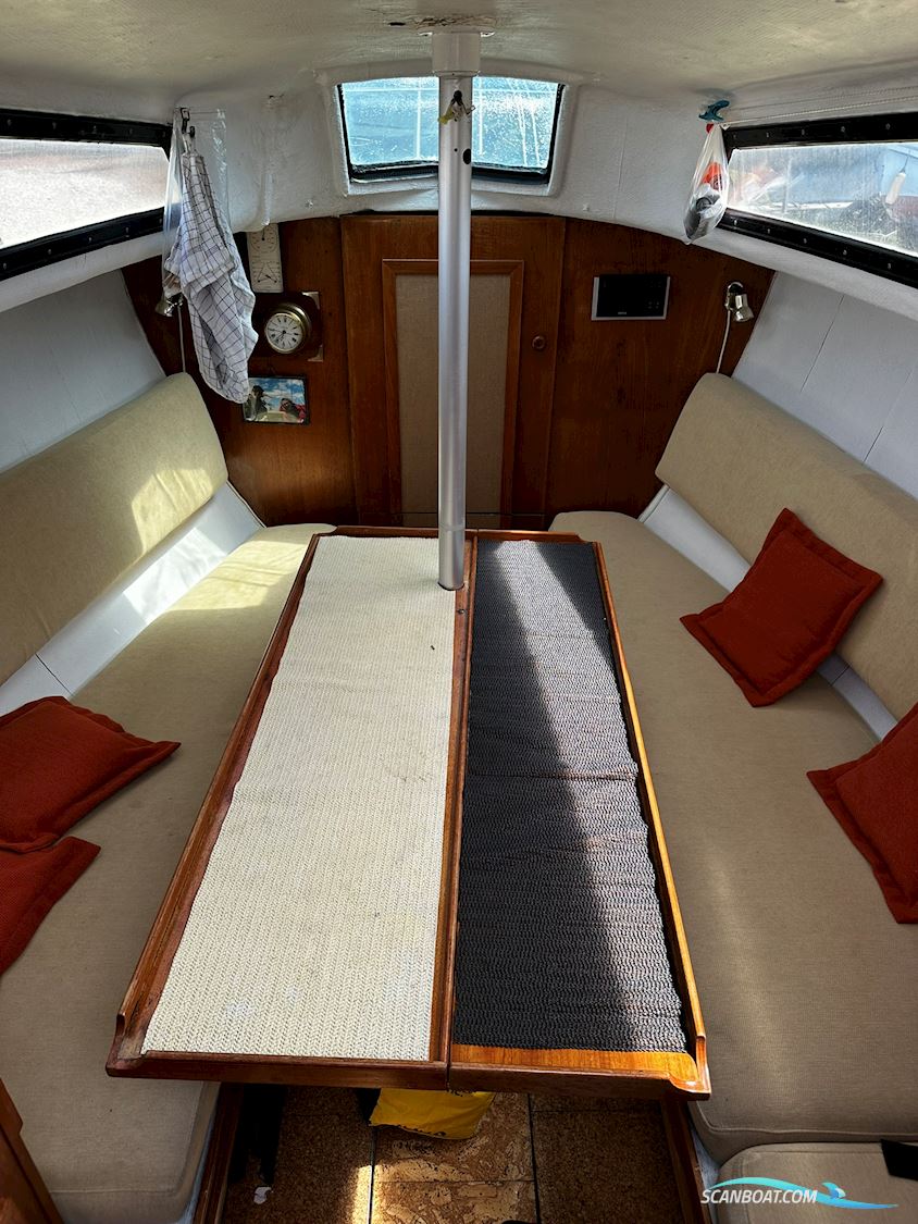 Draco Summerwind 24'