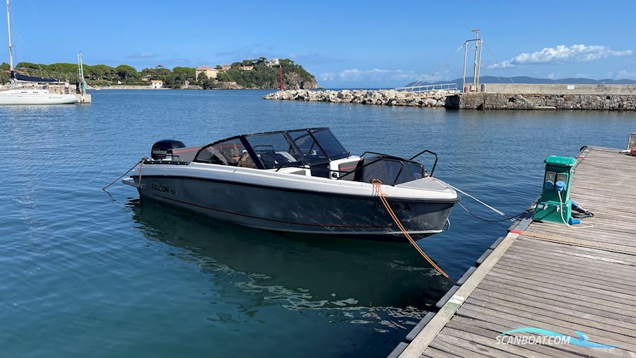 Falcon BR 7 Motorsailer 2018, with Mercury F150 engine, Germany