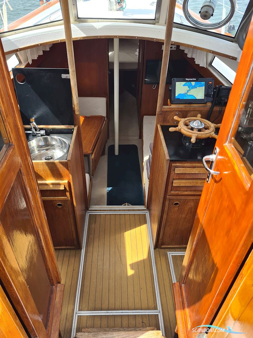 Fjord ms 33