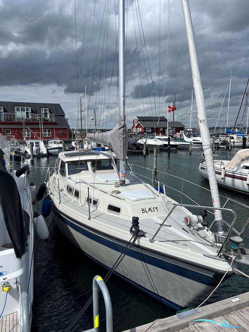 LM 30 Motorsailer 1982, with Bukh DV 36 HK engine, Denmark