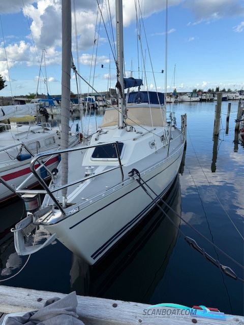 LM Vitesse 33 Cabrio