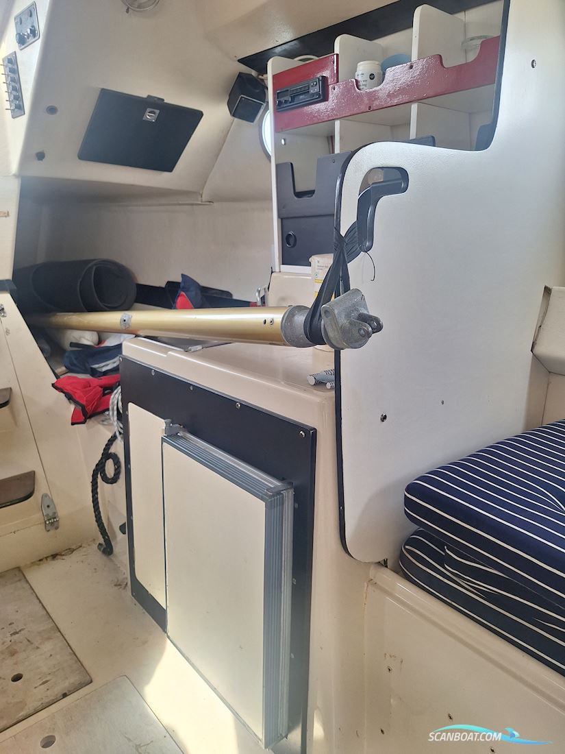 Medusa 25
