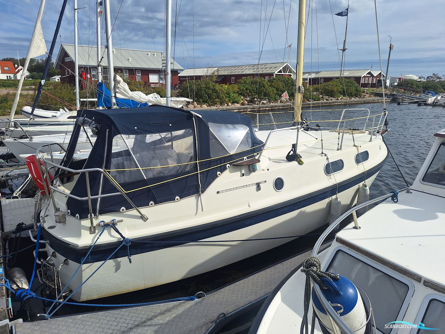 Medusa 25