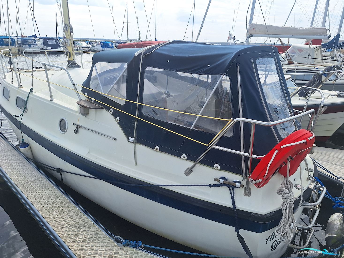 Medusa 25
