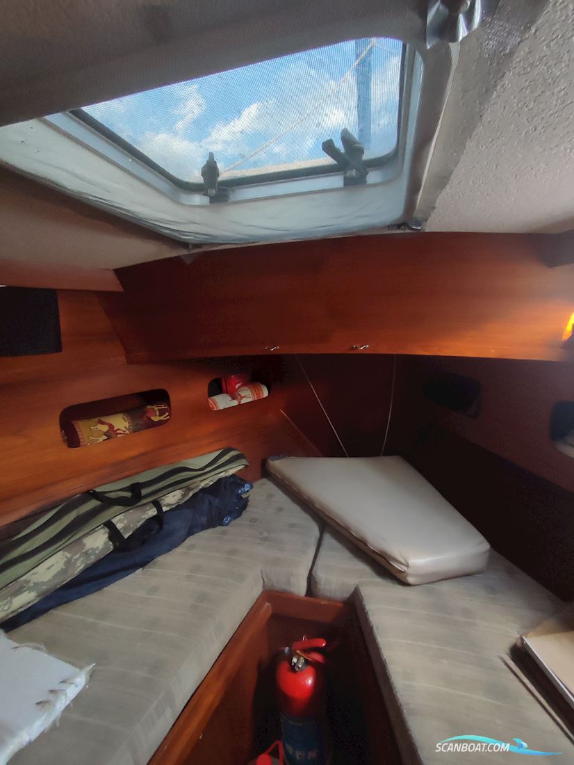 Nauticat 33